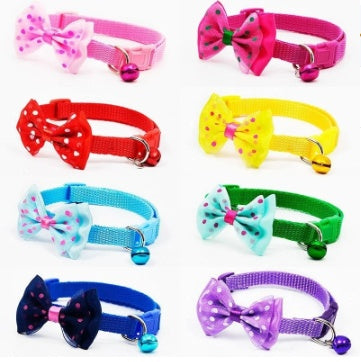 Pet Collars & Harnesses