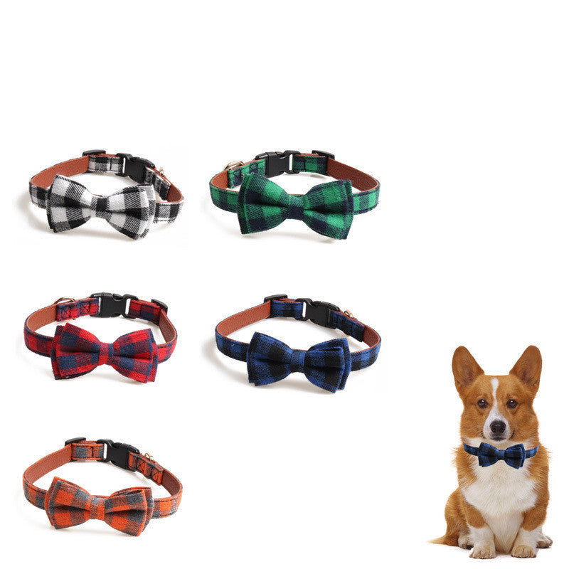 Pet Collars & Harnesses