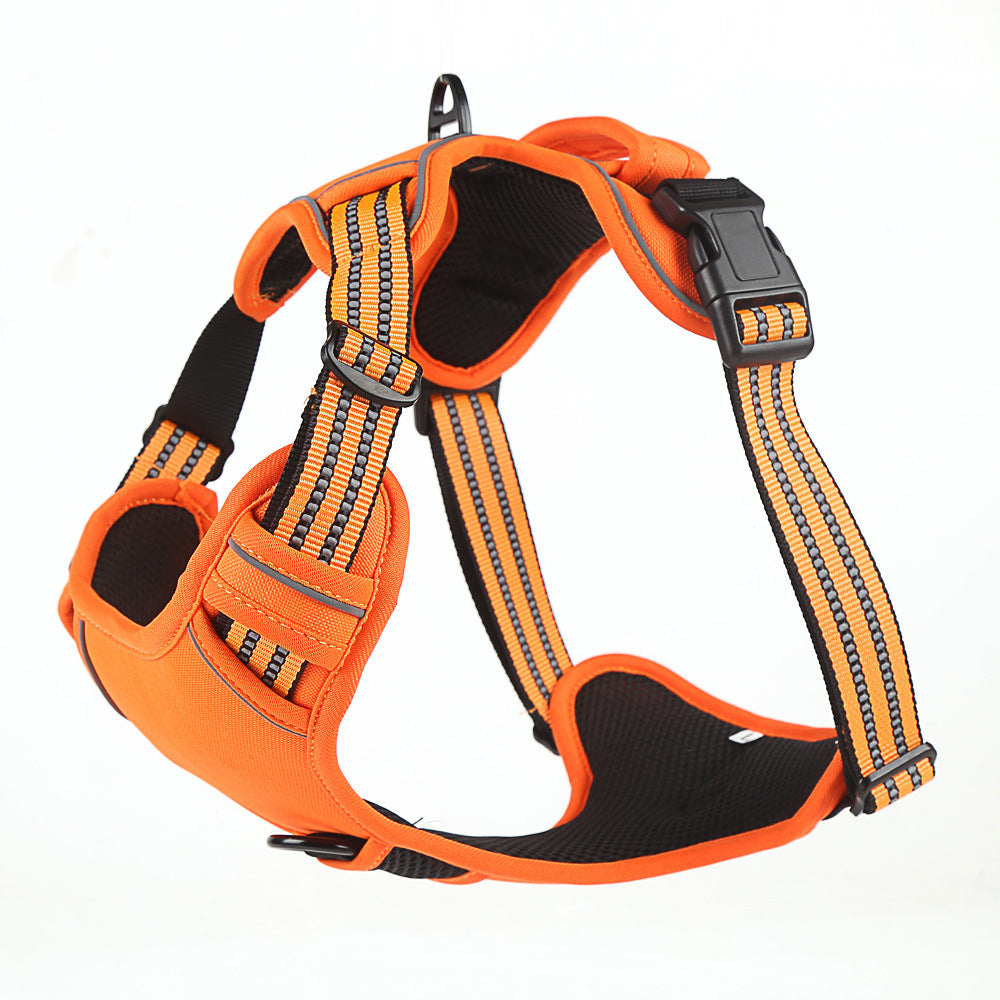 Pet Collars & Harnesses