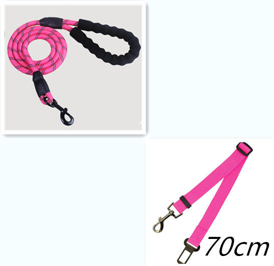 Pet Collars & Harnesses