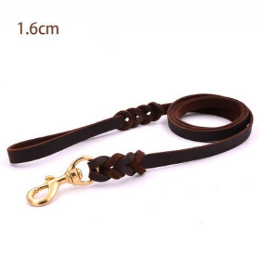 Pet Leashes