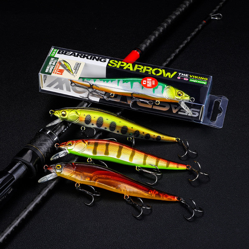 Fishing Baits & Lures 