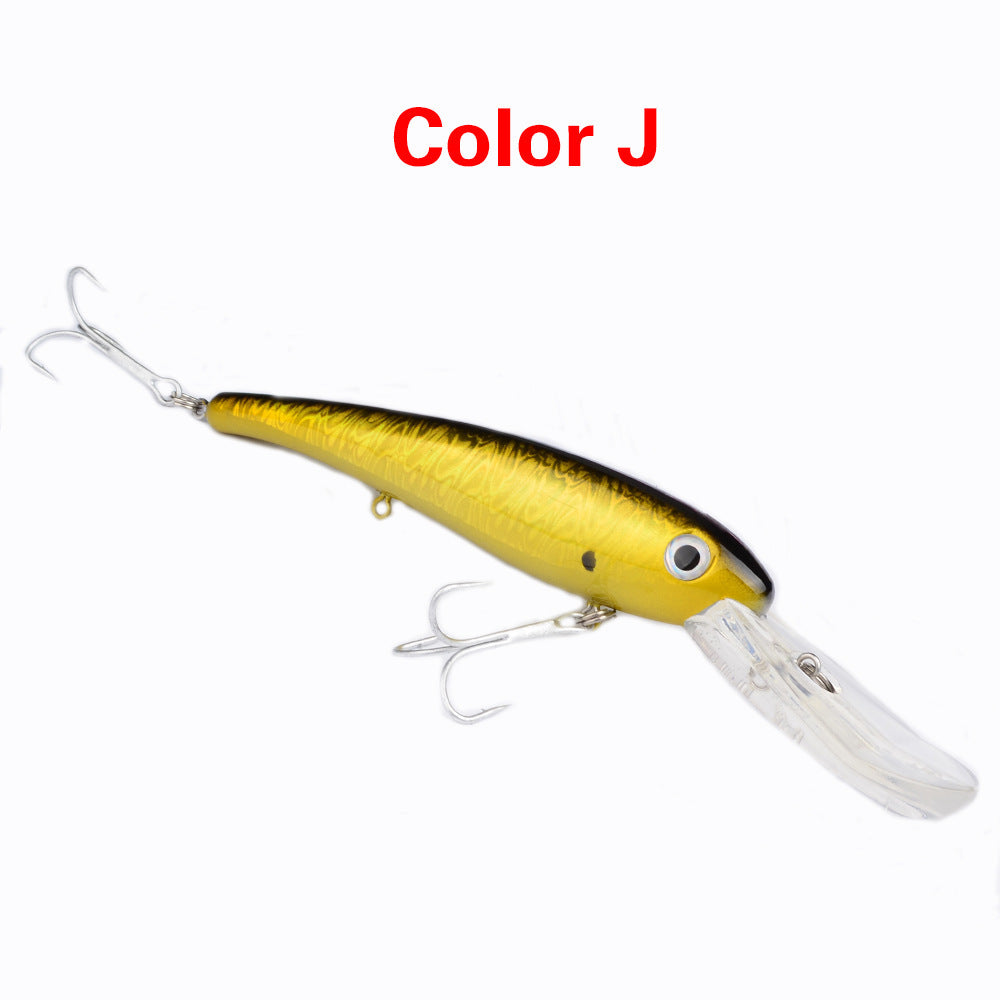 Fishing Baits & Lures