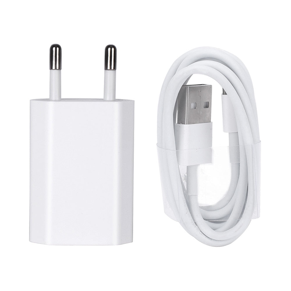 Power Adapters & ChargersIPad