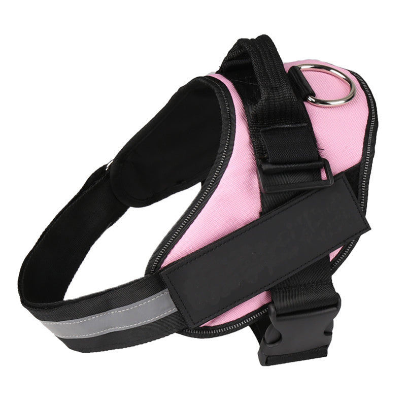 Pet Collars & Harnesses