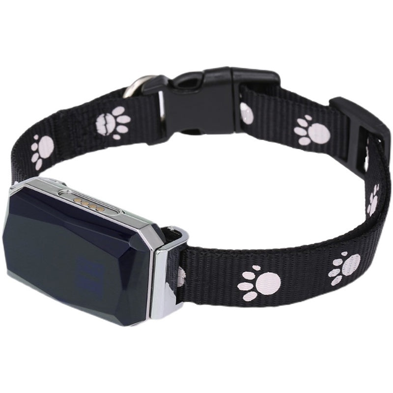 Pet Collars & Harnesses