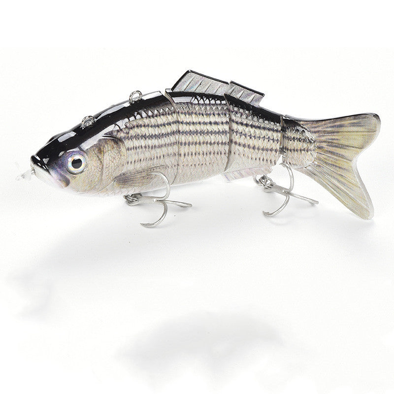 Fishing Baits & Lures