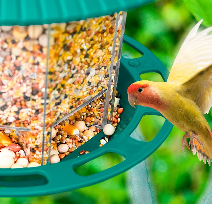 Bird Feeders