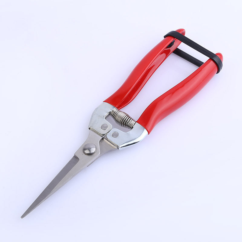 pruning shears