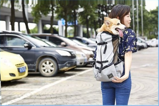 Breathable Pet Backpack