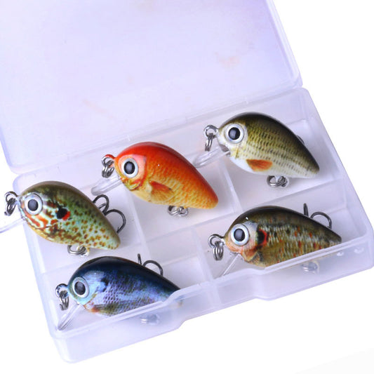 Fishing Baits & Lures