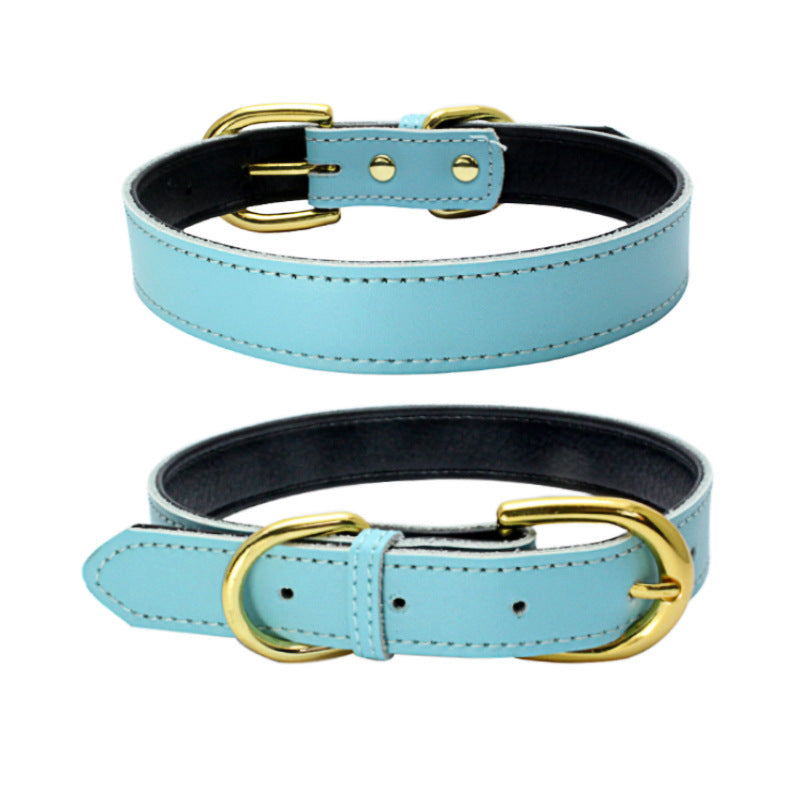 Pet Collars & Harnesses