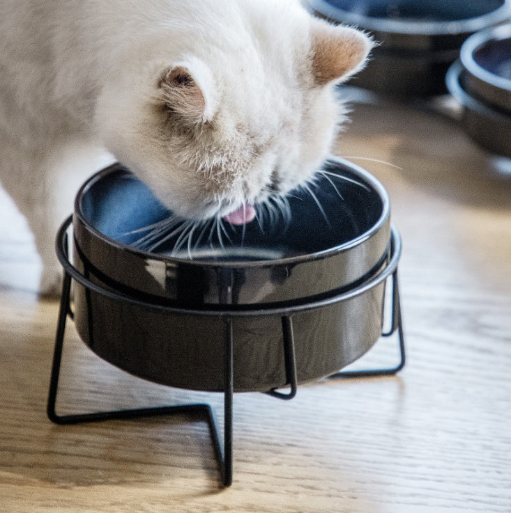 Ceramic Pet Eating Bowl