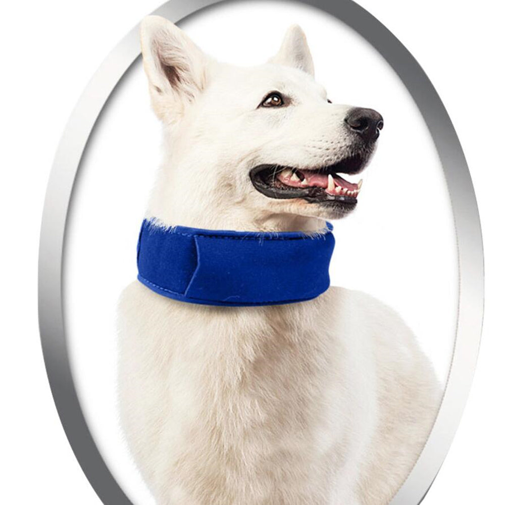 Pet heatstroke cooling collar