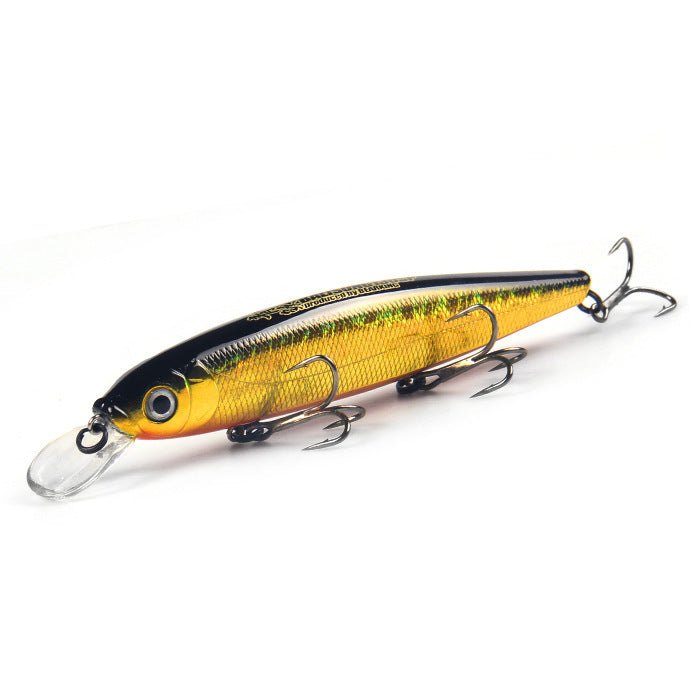 Fishing Baits & Lures