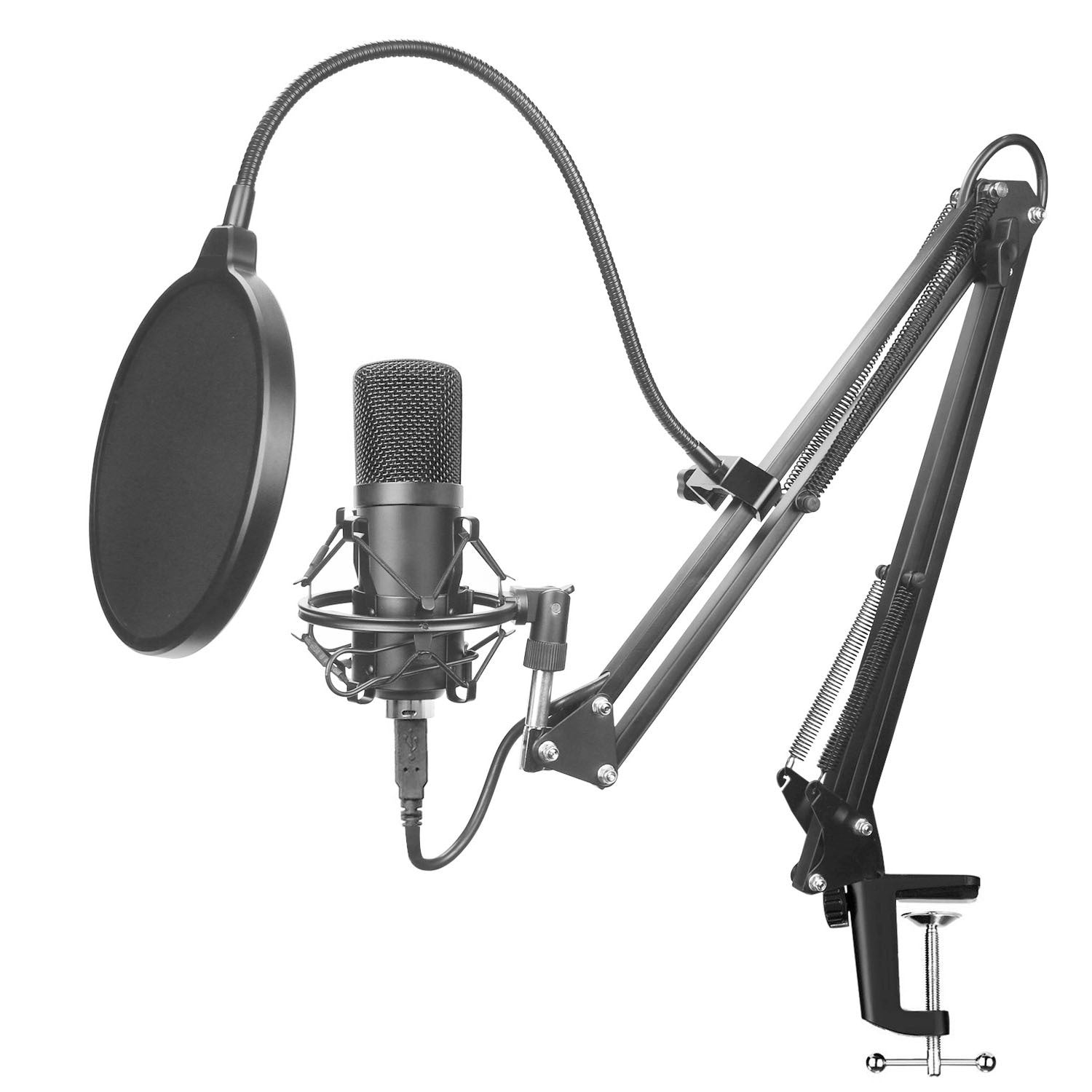 Microphone