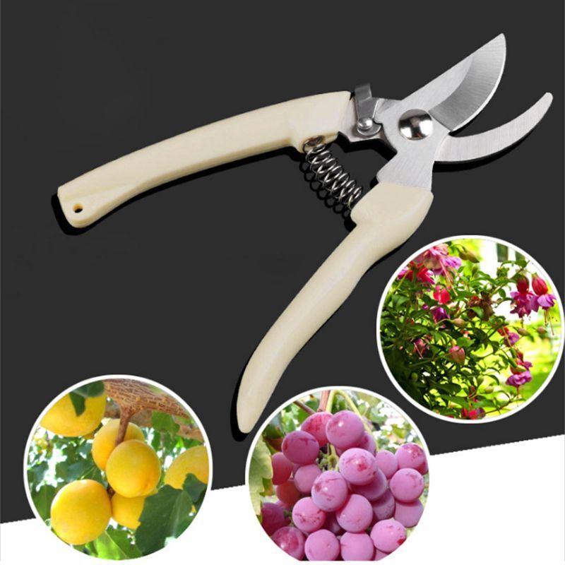 Pruning Shears