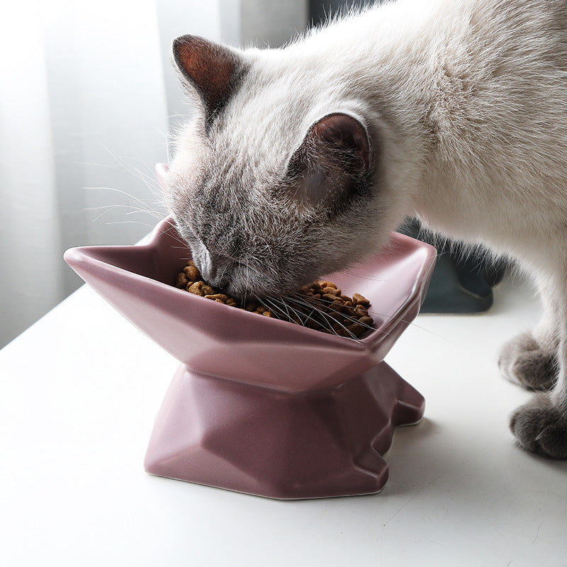 Cat Food Bowl