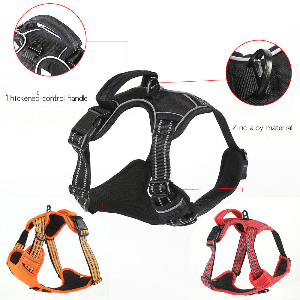 Pet Collars & Harnesses