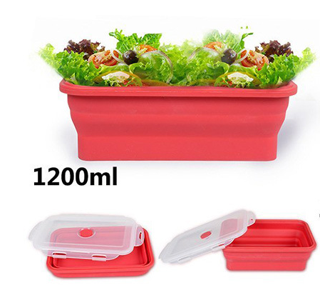 Folding lunch box