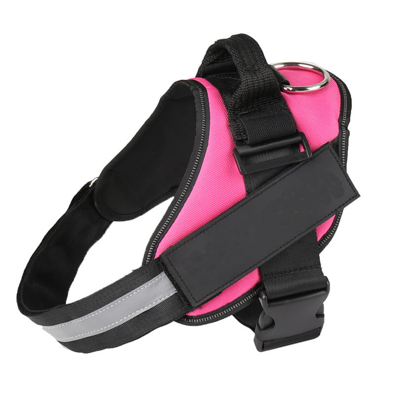 Pet Collars & Harnesses