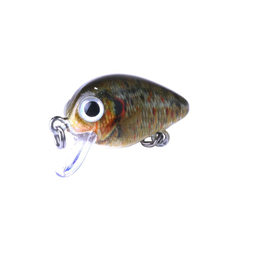 Fishing Baits & Lures