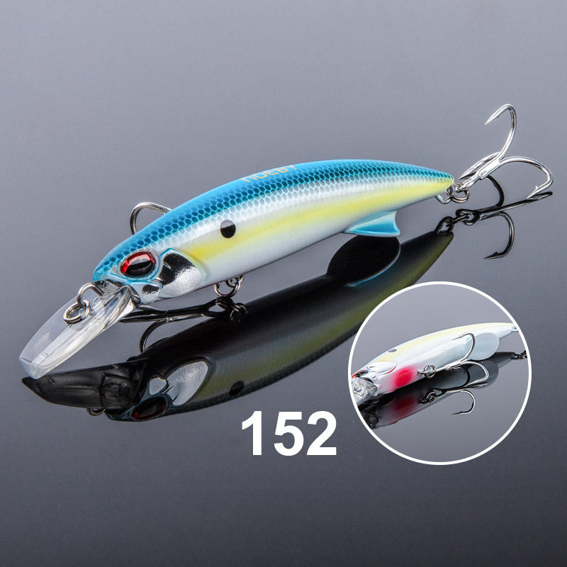 Fishing Baits & Lures