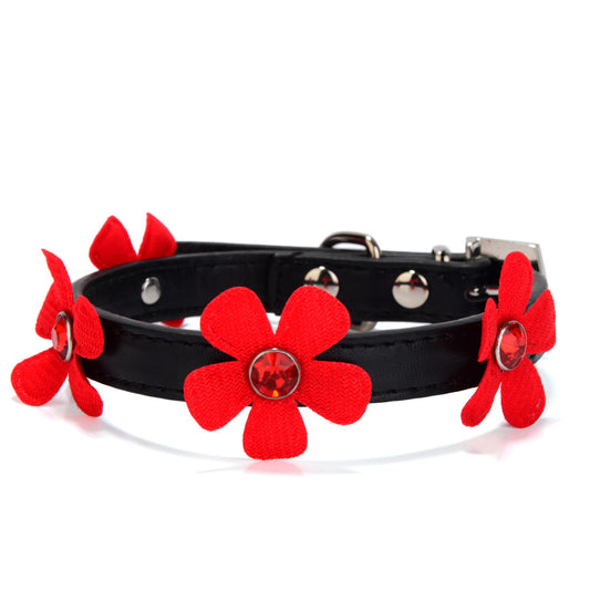 Pet Collars & Harnesses