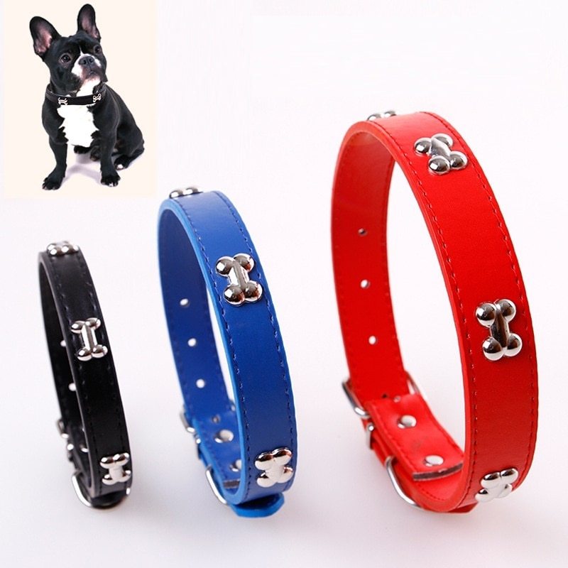 Pet Collars & Harnesses