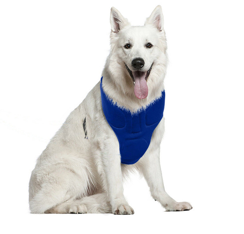 Pet Collars & Harnesses