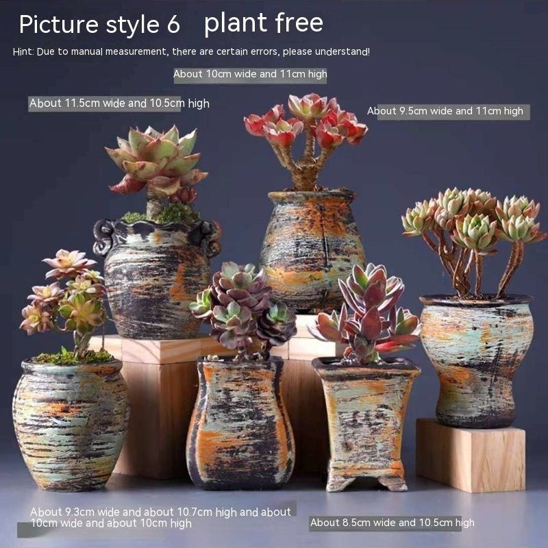 Pots & Planters