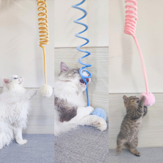 Cat Toys