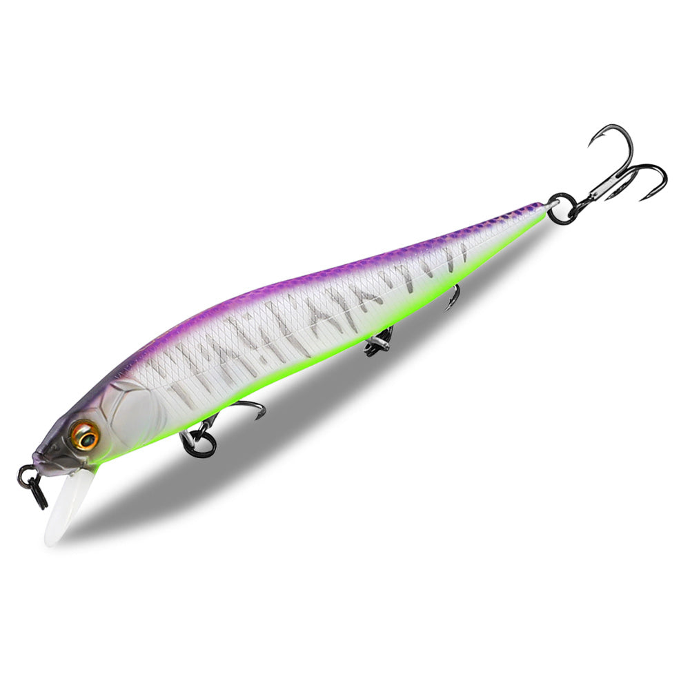 Fishing Baits & Lures 