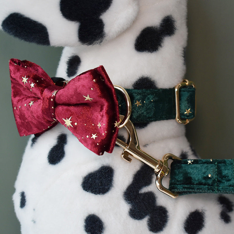 Pet Collars & Harnesses