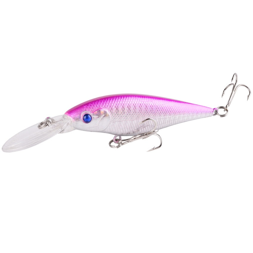 Fishing Baits & Lures