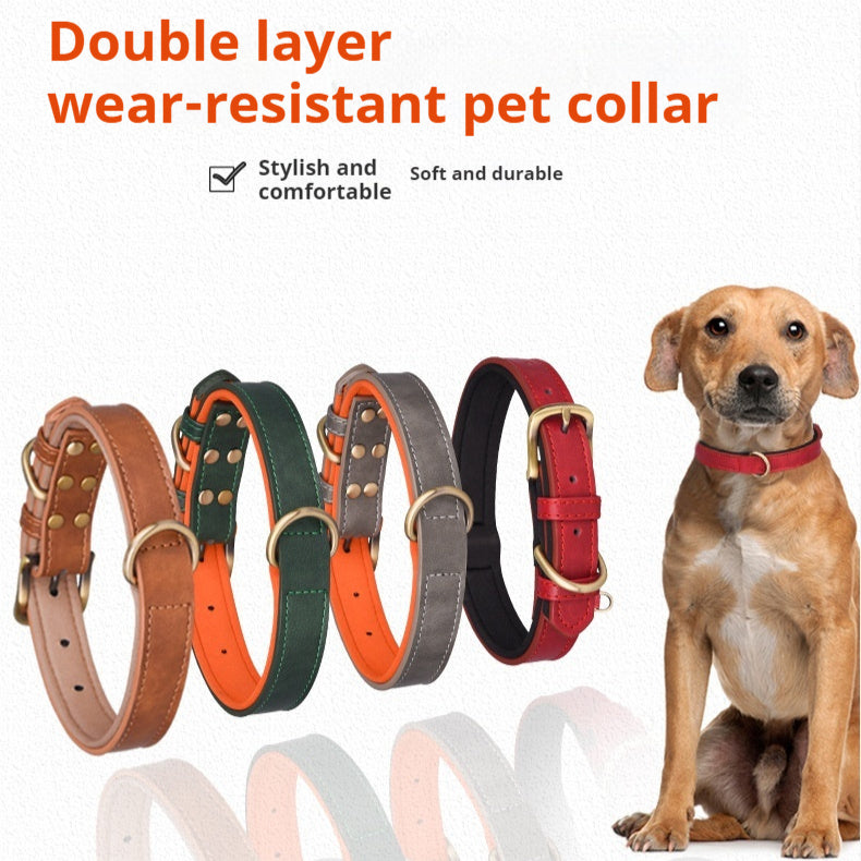 Pet Collars & Harnesses