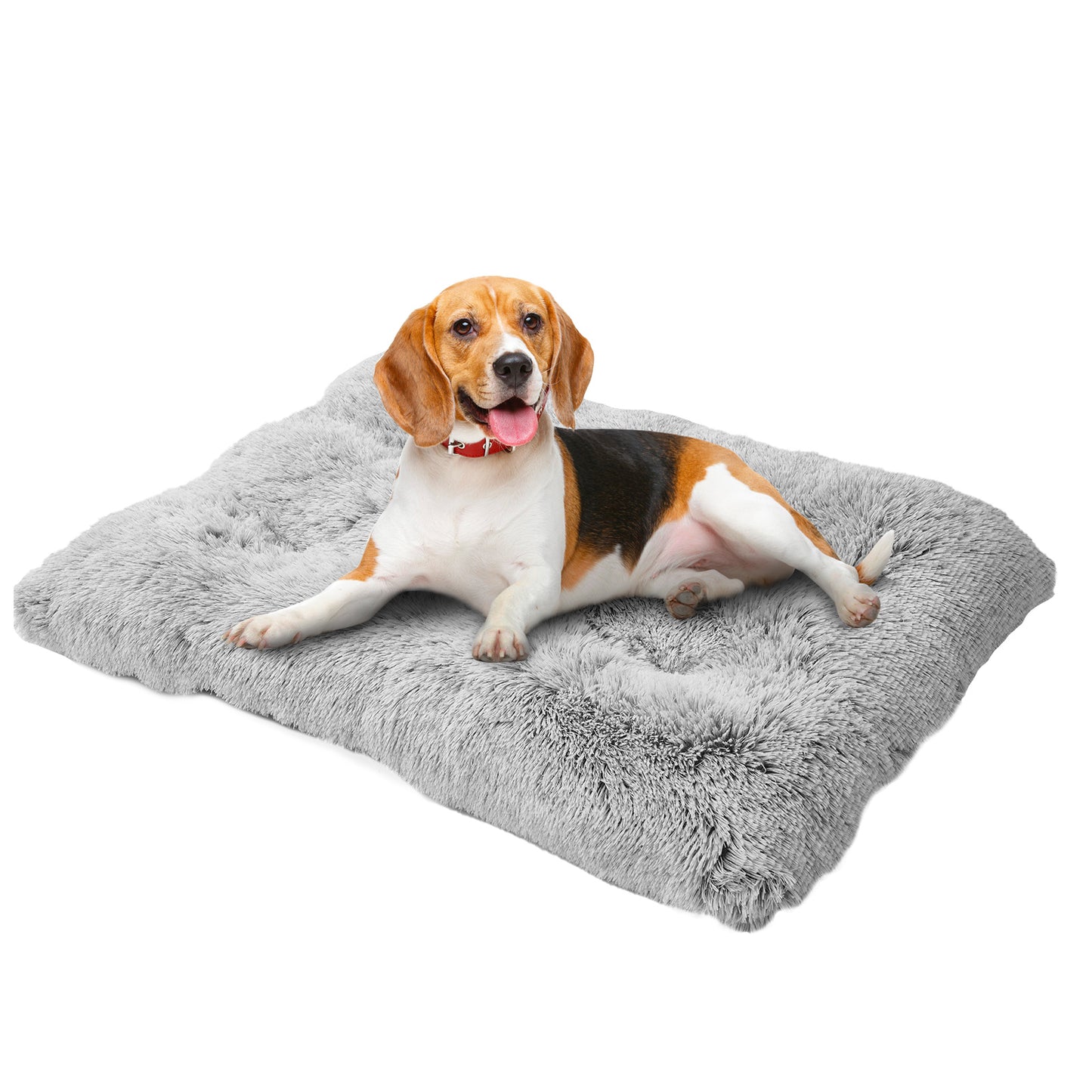 Dog Mats