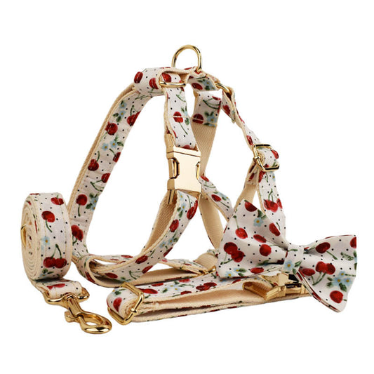 Pet Collars & Harnesses