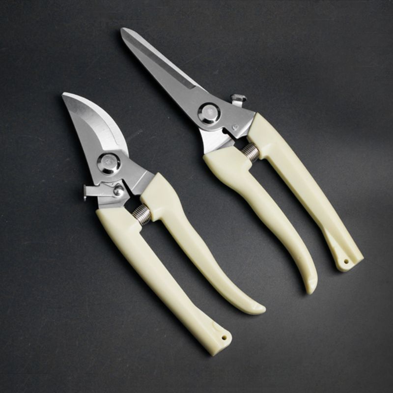 Pruning Shears