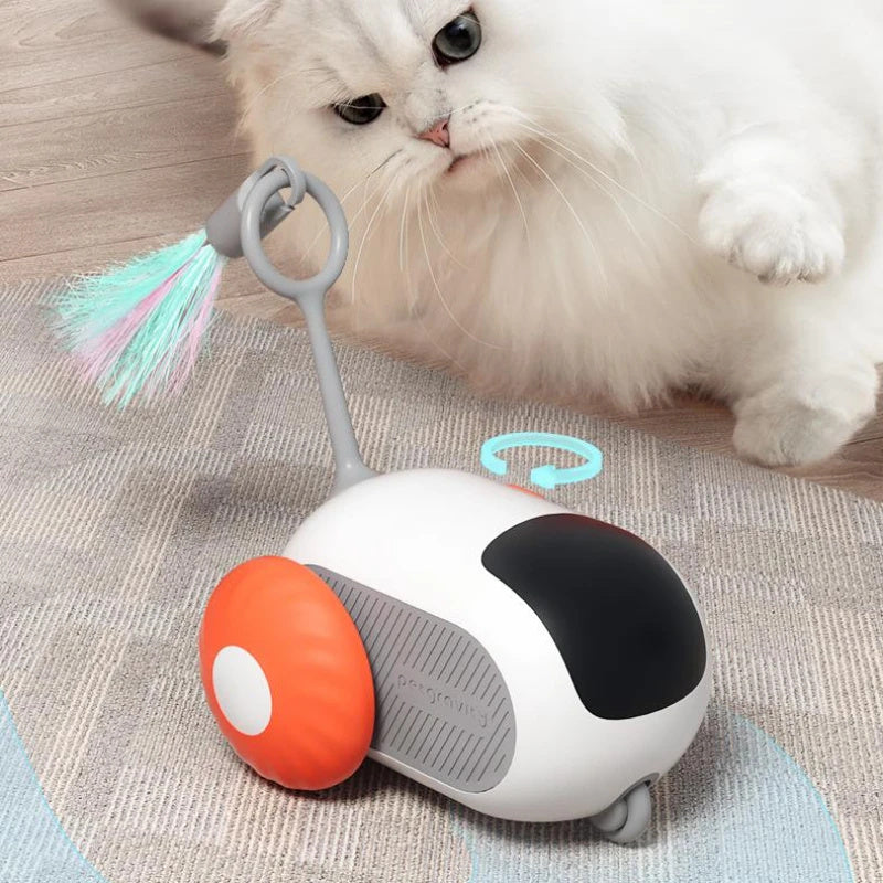 Cat  Toy