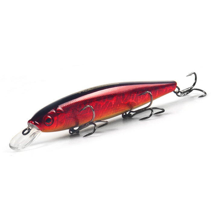 Fishing Baits & Lures