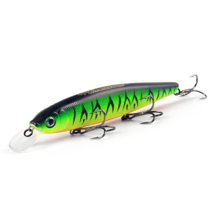 Fishing Baits & Lures