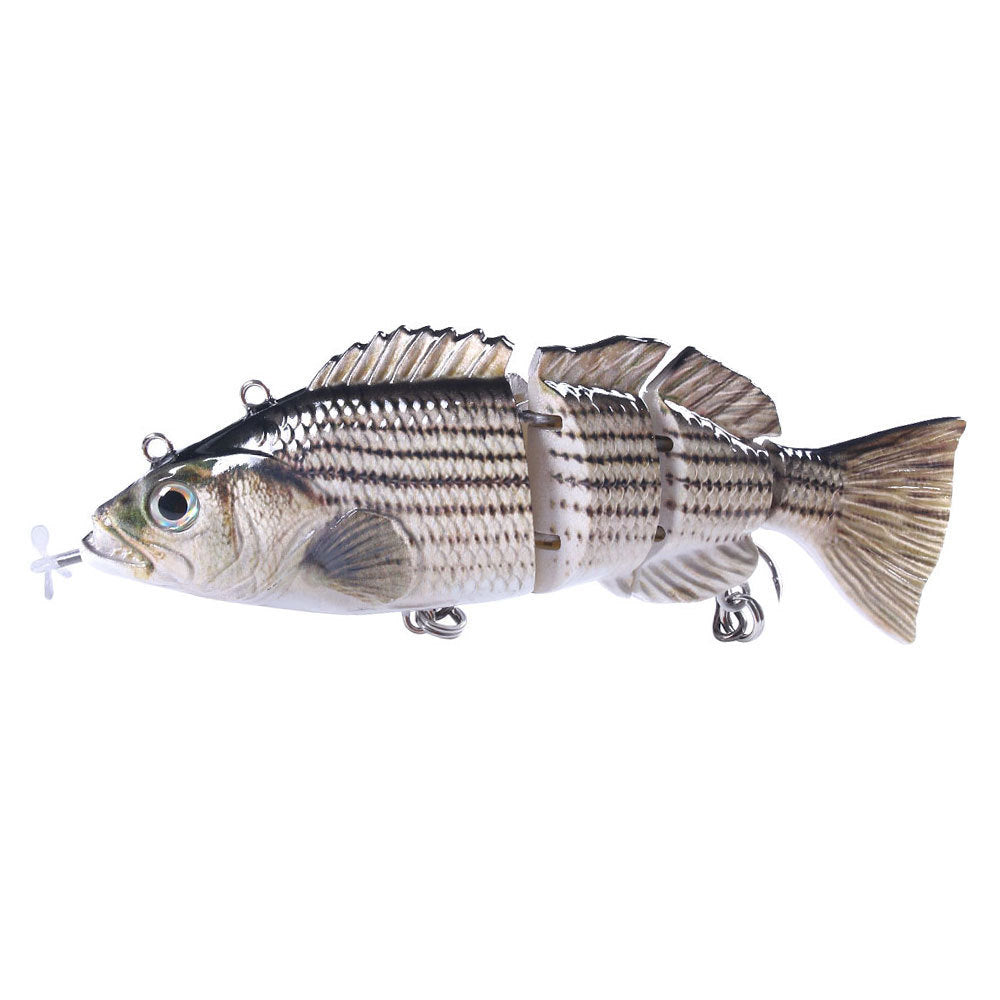 Fishing Baits & Lures