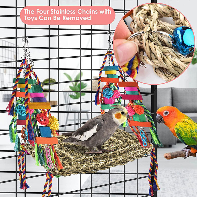 Parrot Toys