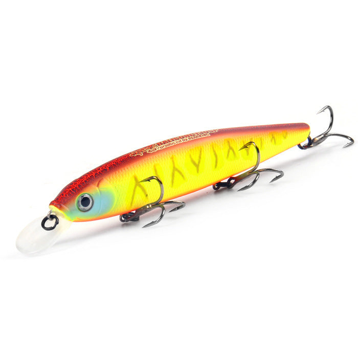 Fishing Baits & Lures