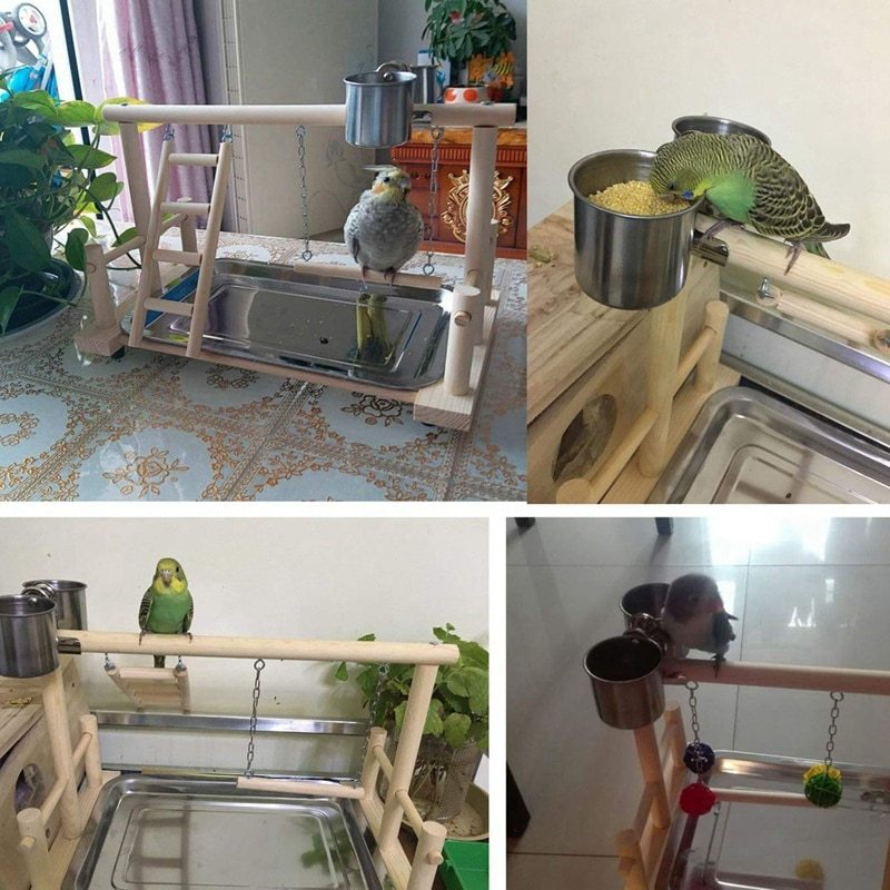 Parrot Standing Stand