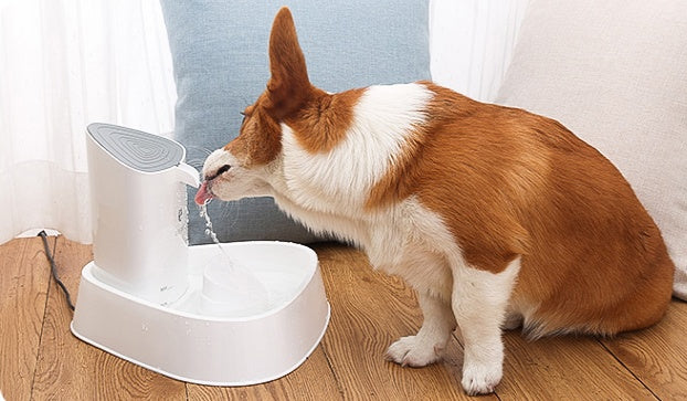 Dispensador de agua para mascotas