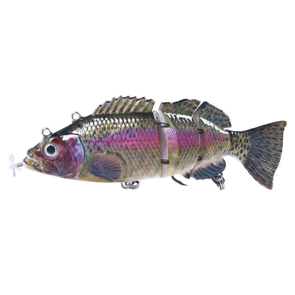 Fishing Baits & Lures