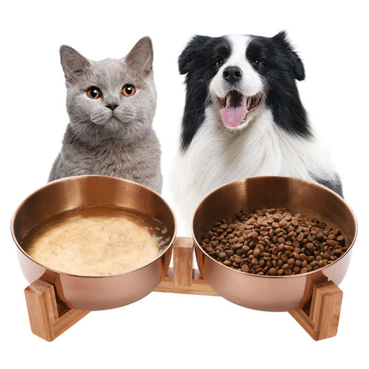 Pet Bowls, Feeders & Waterers