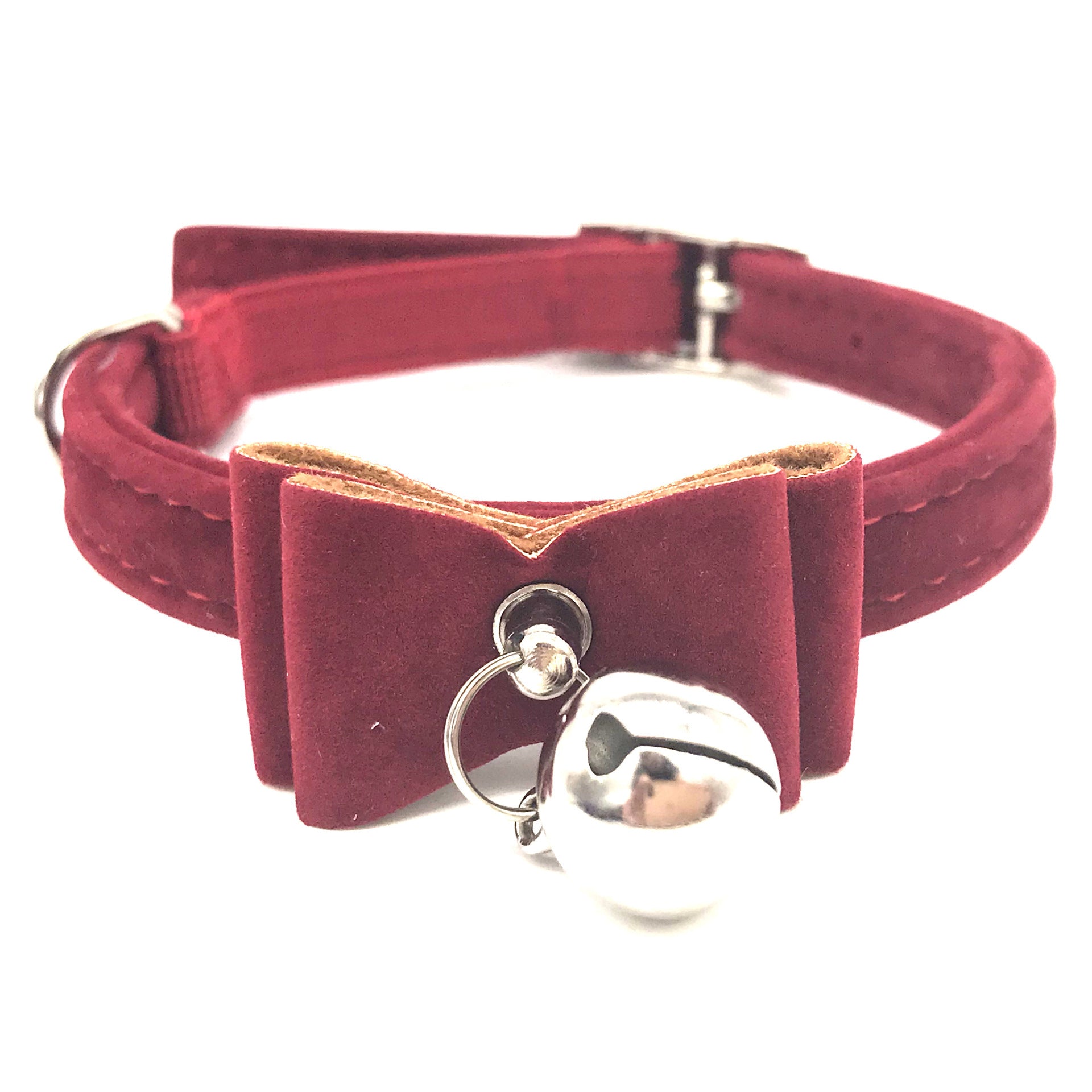 Pet Collars & Harnesses